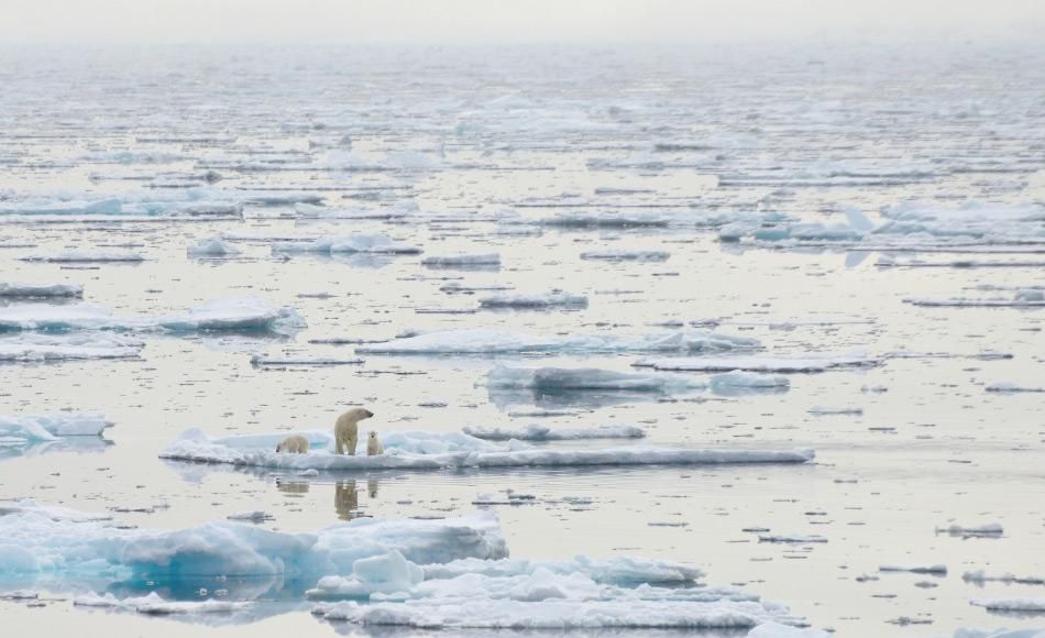 Arktisches Meereis weiter auf dem Rückzug