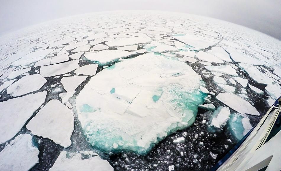 Wie genau kann der erste eisfreie Sommer in der Arktis vorhergesagt werden?