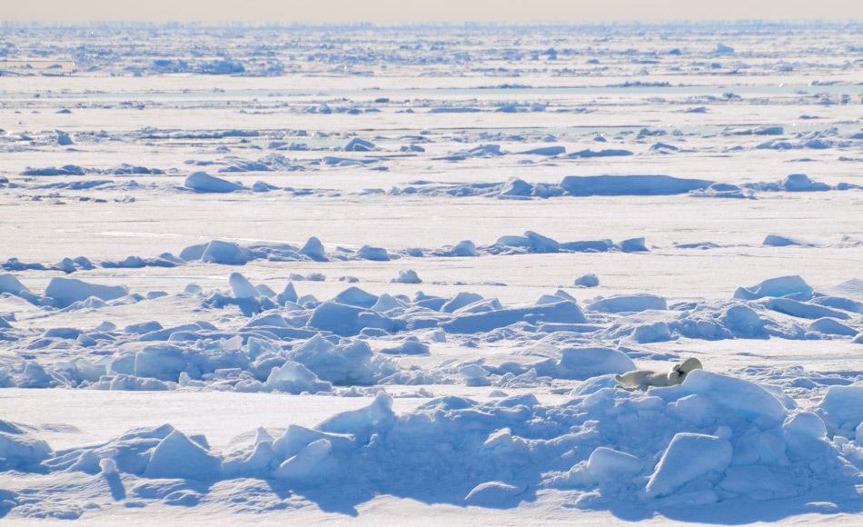 Neue Daten aus der Arktis zeigen keine Erwärmungspause
