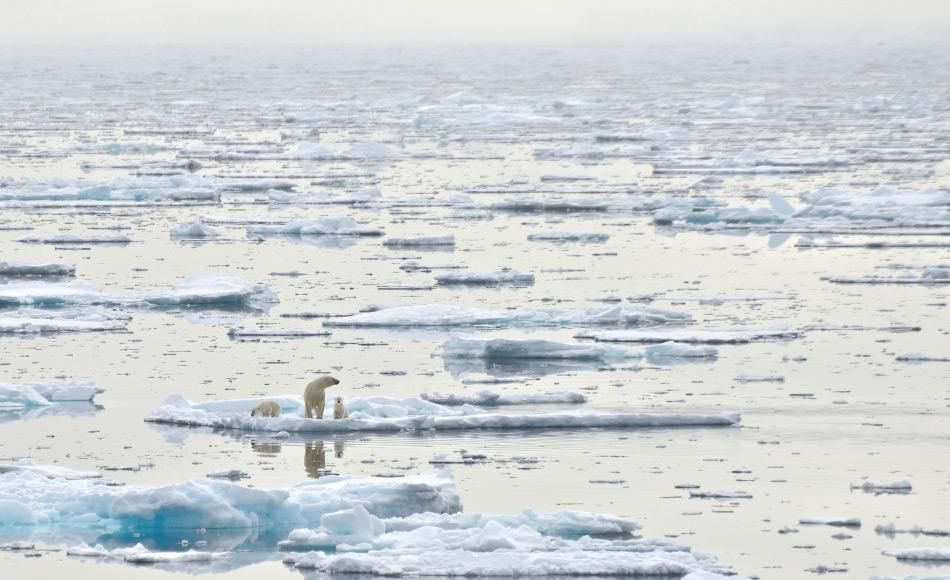 Immer mehr Müll im Arktischen Ozean