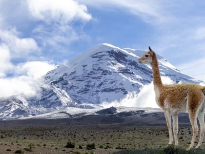 Der Chimborazo Vulkan. Er ist mit 6263 müM der höchste Berg in Ecuador. (© Fabian Ponce)
