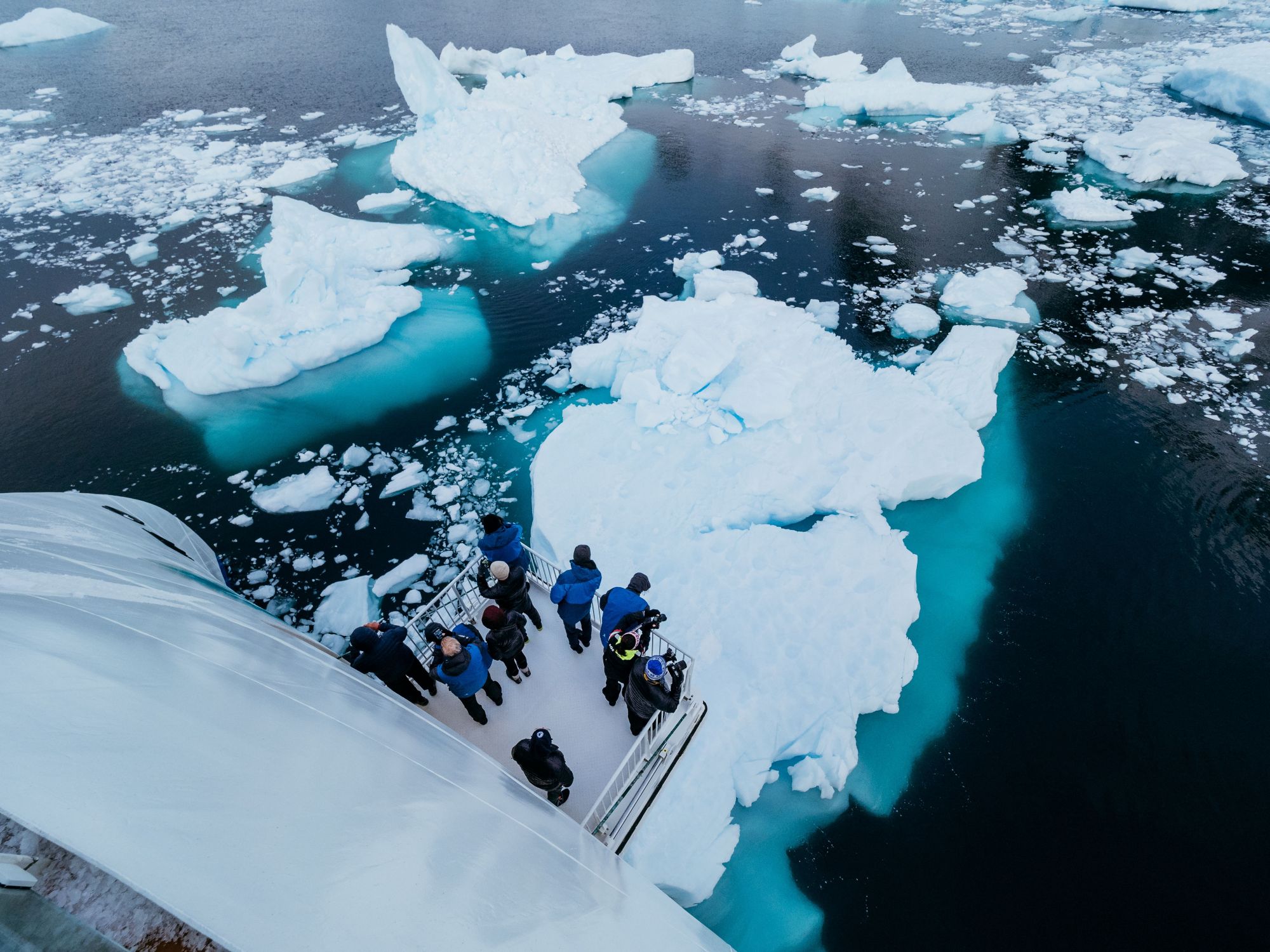 Einzigartige hydraulische Plattformen ermöglichen auf der Greg Mortimer spektakuläre Ausblicke auf Meereslebewesen und Polarlandschaften.