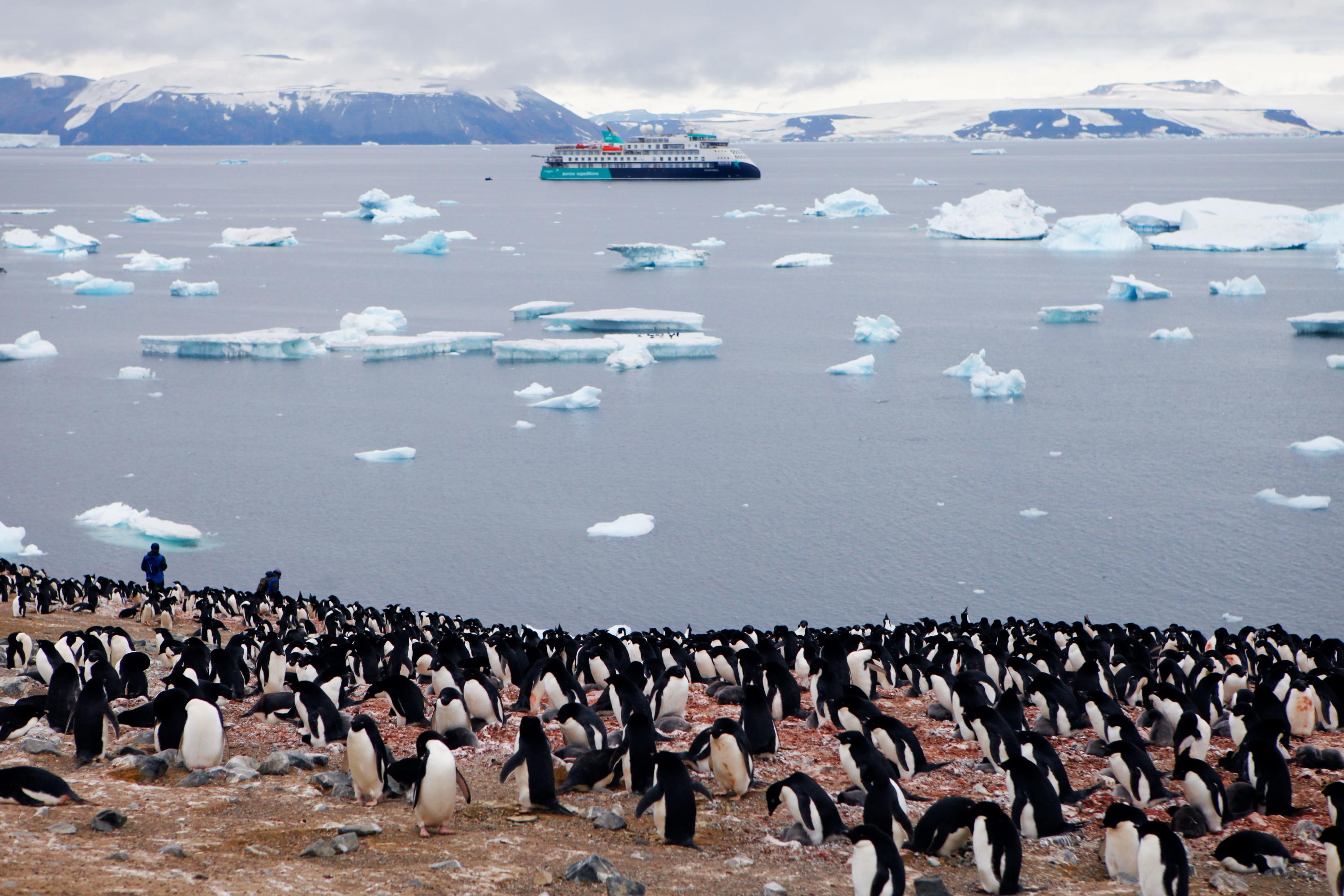 Verantwortungsvoll Reisen mit der MS Sylvia Earle