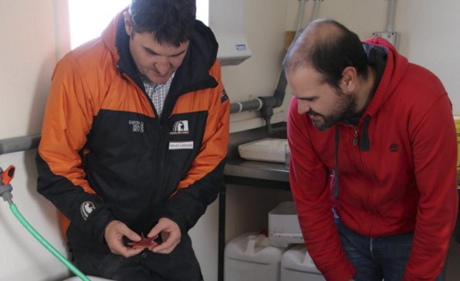 Miles Lamare, links, von der Universität von Otago und Antonio Garcia von der Universität Brüssel untersuchen Seesterne aus dem McMurdo Sound. (Bild: Antarctica New Zealand)