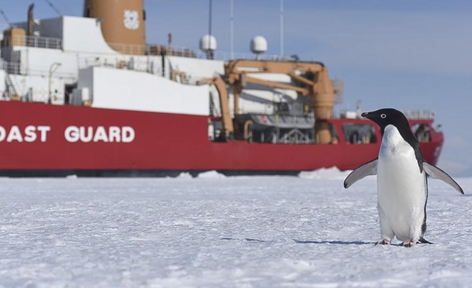 Ein Adelie-Pinguin begrüßt den U.S. amerikanischen Eisbrecher Polar Star im McMurdo-Sound. Das Schiff wurde 1976 in Dienst gestellt und ist eines der größten Schiffe in der Flotte der U.S. Küstenwache. Die Polar Star bricht jedes Jahr einen Kanal in das Meereis im McMurdo Sound, so dass die McMurdo Station und die wissenschaftlichen Programme auf dem Eis versorgt werden können. (Bild: US Coast Guard)