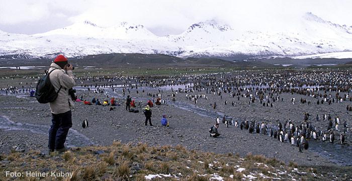 Touristen-in-der-Antarktis