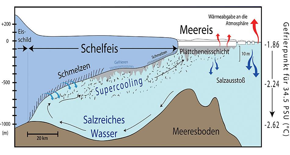Schematische Darstellung der Entstehung von Plättcheneis im Südpolarmeer. Grafik: AWI, Mario Hoppmann
