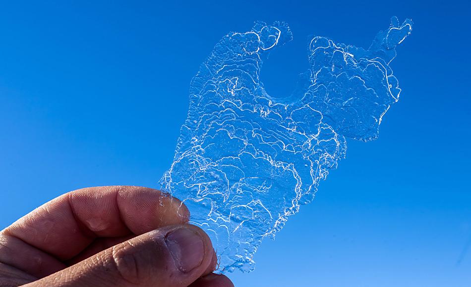 Nahaufnahme eines typischen Eisplättchens aus der Atkabucht, Weddell­meer, Antarktis. Die Plättchen messen bis zu 20 Zentimeter im Durchmesser. Foto: AWI, Mario Hoppmann