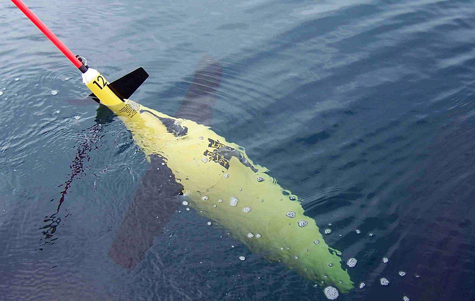 Die unabhÃ¤ngig treibenden Argos helfen Forschern den Zustand der Ozeane zu untersuchen. Dabei werden sie weltweit eingesetzt und genutzt. Bild: Katja Riedel