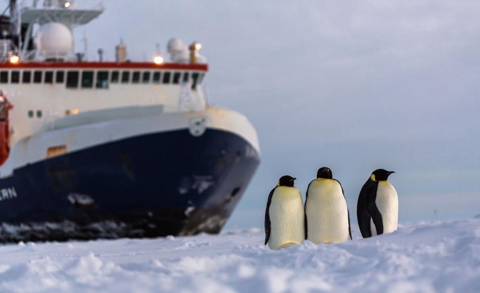Die Polarstern, das Arbeitspferd des AWI bringt jÃ¤hrlich Gruppen von Forschern fÃ¼r ihre Feldstudien in die Antarktis. Ausserdem versorgt sie auch noch die Neumayer III Station. Bild: Alfred-Wegener-Institut/Stefan Hendricks