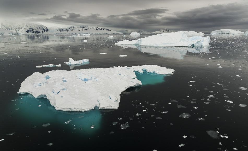 Die algenreiche Unterseite der Eisschollen im Polarmeer ist der Lebensraum des Krills, er stellt den Grundbaustein des Nahrungsnetzes in der Antarktis dar. Bild: Katja Riedel