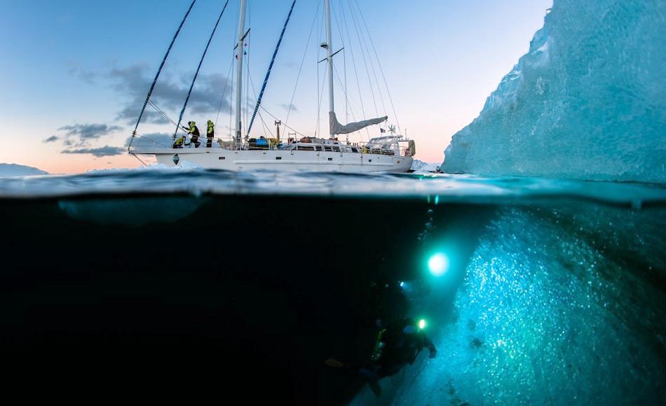 Die Expedition âUnder The Pole IIIâ wird die sogenannte âDÃ¤mmerzoneâ im Arktischen Ozean erkunden und versuchen neue Lebensformen zu finden und bestehende besser erforschen. Bild: Lucas Santucci / Zeppelin Network