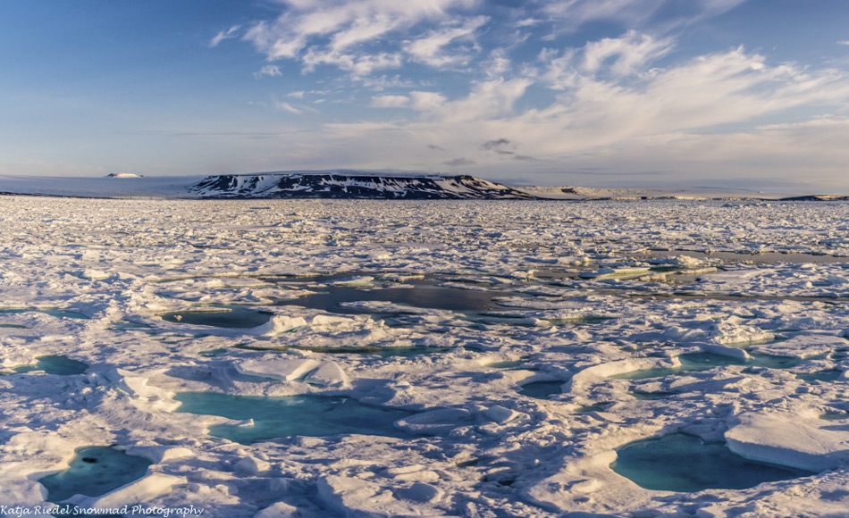 In einer sich erwärmenden Arktis verändert der Schnee seine optischen Eigenschaften und lässt mehr Licht zur Eisunterseite durchdringen, was zu verbesserten Wachstumsbedingungen für Eisalgen führt. (Bildnachweis: Katja Riedel)