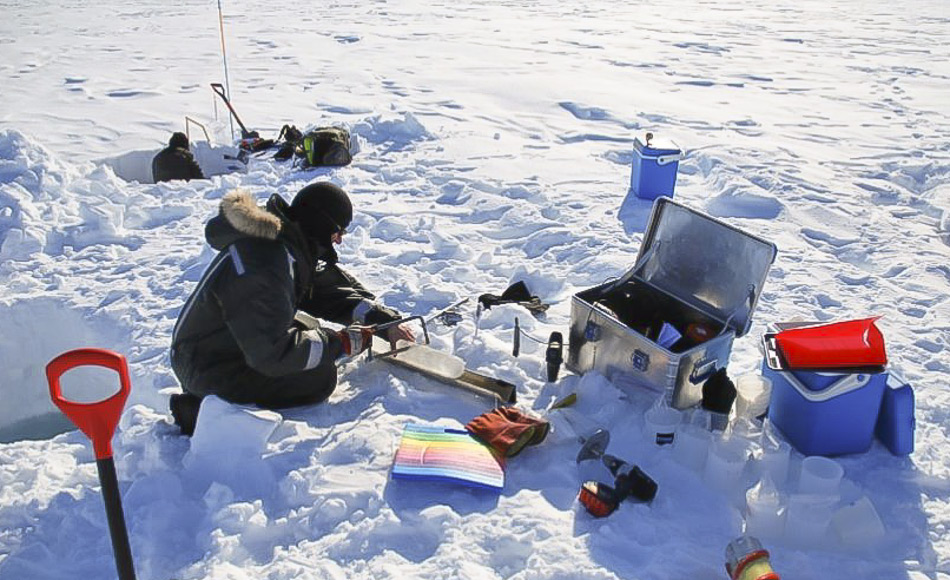 Die Temperaturen in Nordostgrönland können im Mai bis zu -20°C erreichen. Daher müssen die Forscher gut ausgerüstet sein, wenn sich das Labor auf dem Meereis befindet. (Bild: Kasper Hancke)