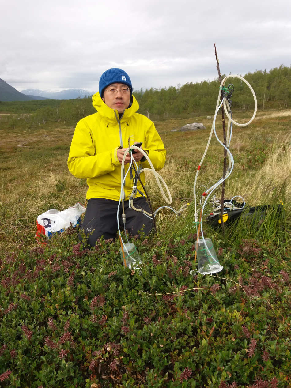 Biologe Tao Li hat herausgefunden, wie Pflanzen in der Arktis auf KlimaerwÃ¤rmung und vermehrten InsektenfraÃ reagieren.  Credit: Jolanta Rieksta