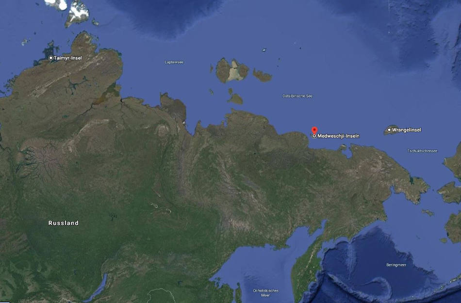Die Medweschij-Inseln gehören zu den wichtigsten Geburtsorte für Eisbären. (Bild: Google Maps)