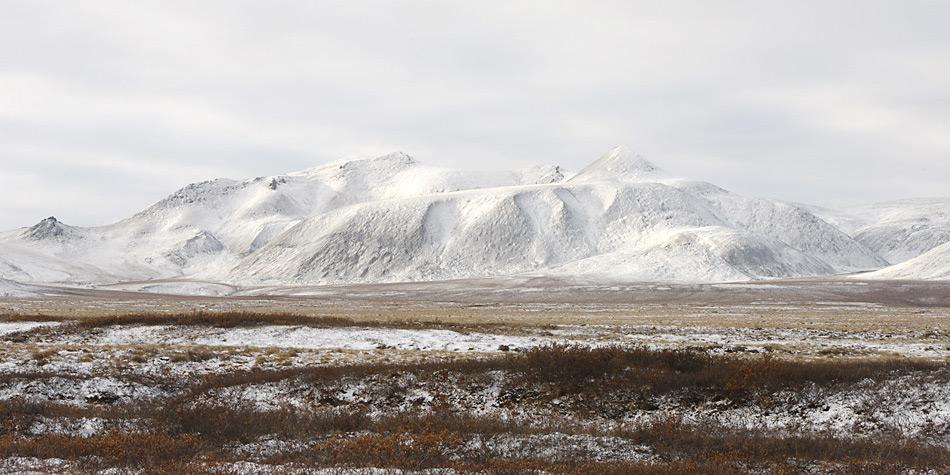 Wenn es nach der Wissenschaft geht dÃ¼rften in 50 Jahren in der Tundra von Chukotka BÃ¤ume stehen.