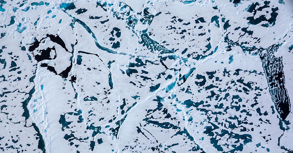 Luftaufnahme von arktischem Meereis mit weitverbreiteten SchmelzwassertÃ¼mpeln, Foto: Stefan Hendricks, AWI