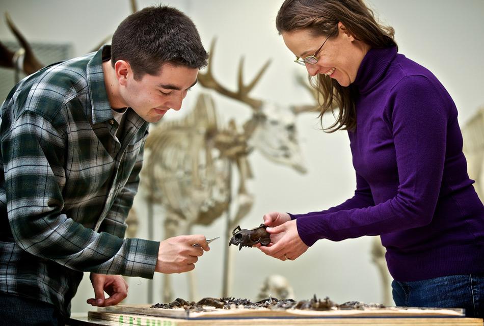 Thomas Cullen und Dr. Natalia Rybczynski bei der Durchsicht von Fossilien. Foto: Canadian Museum of Nature