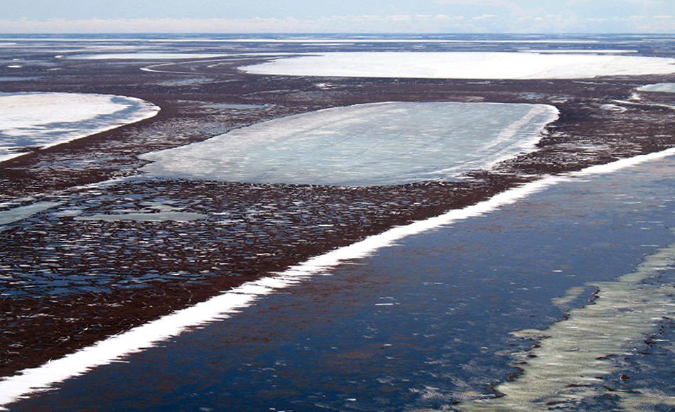 Dieselben Seen, die im Sommer grosse Teile Alaskas bedecken, waren früher eine einzige geschlossene Decke unter Eis und Schnee. Nun bleiben diese Teile sogar im Winter manchmal eisfrei. Bild: Christopher Arp