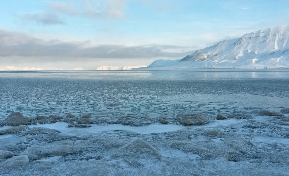 Die Fjorde in Svalbard und in vielen anderen Gebieten frieren normalerweise ab November zu. In diesem Winter aber sind weite Gebiete der Arktis sogar noch im Dezember eisfrei gewesen aufgrund hoher Wasser- und Lufttemperaturen und südlichen Winden. Bild: Michael Wenger