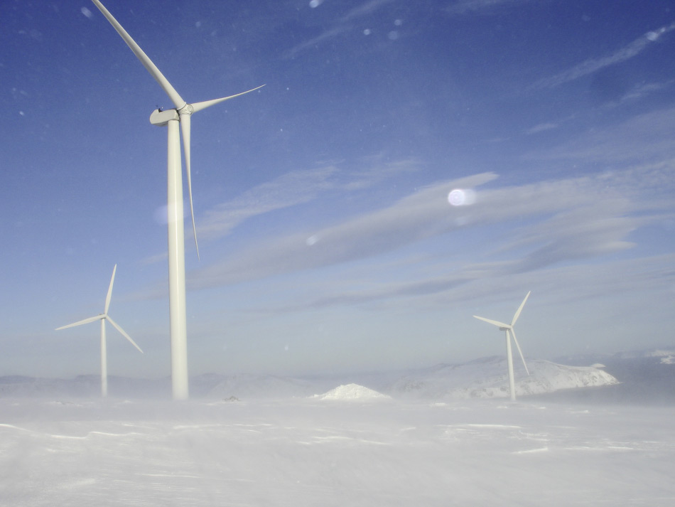 Der nÃ¶rdlichste Windpark der Welt steht in HavÃ¸ygavlen, rund 50 Kilometer sÃ¼dlich des Nordkaps in Norwegen. Geht es nach den PlÃ¤nen von Zhenya Liu, wÃ¼rde man noch etwas nÃ¶rdlicher gehen und ein Netzwerk von Windparks rund um die ganze Arktis errichten. Bild: Seebawind