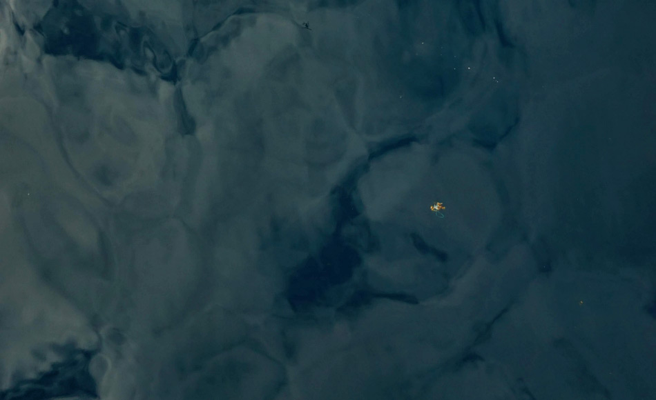 Eine Luftaufnahme des AWI-Multikopters: Alge mit SeilstÃ¼ck im Arktischen Ozean. Foto: Multicopter Kamera, AWI-Tiefseegruppe