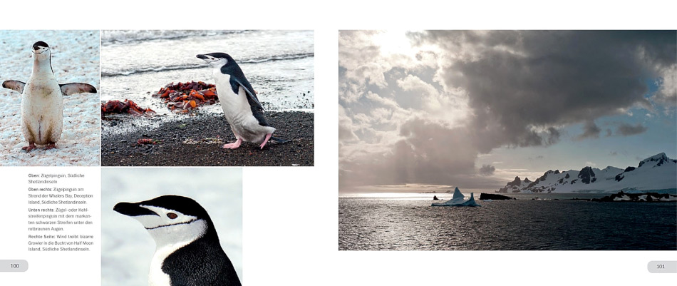 Das Buch „Reise in die Antarktis“ kommt in zwei Teilen daher. Teil 1 illustriert die Reisen in die Antarktis und vermittelt mit vielen Bildern auch Wissenswertes über die Südpolarregion. Die Bilder stammen teilweise vom Autor, teilweise von externen Fotografen.