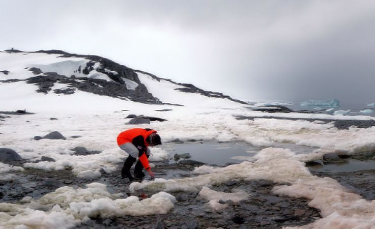 Die Geowissenschaftlerin Julia Kleinteich entnimmt Proben aus Su00fcsswassertu00fcmpeln mit Mikroben drin