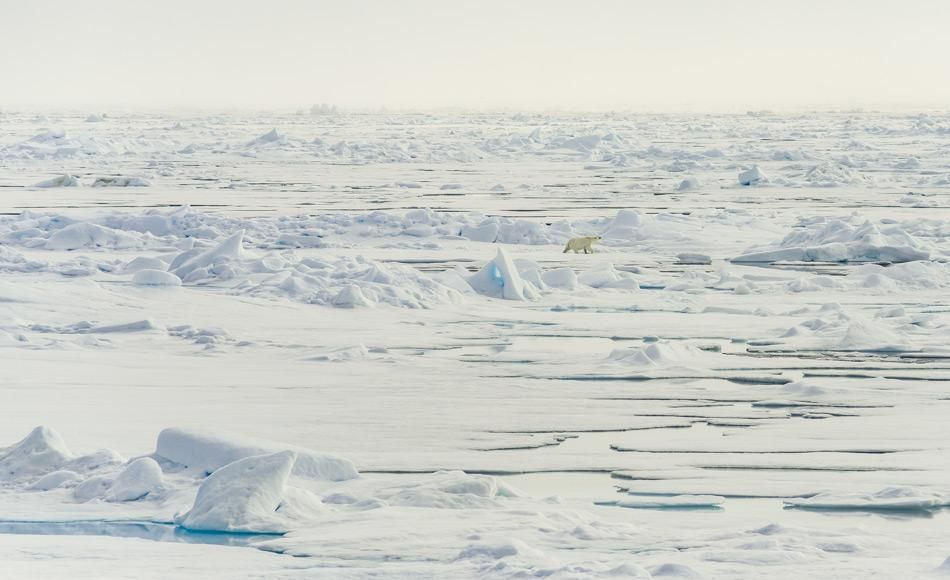 Wie jeder von uns zum Rückgang des Meereises in der Arktis beiträgt