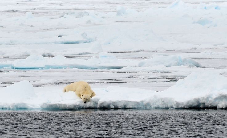 Der Arktische Ozean schafft es nicht aus den Medien hinaus mit seinem kontinuierlichen Verlust an