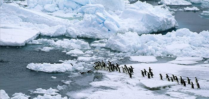 Warum das Meereis der Antarktis zunimmt