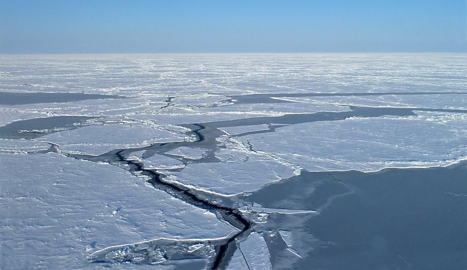 In Zukunft rapide Meereisverluste in der Arktis
